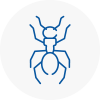 Ant Removals In Preesall