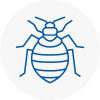 Bed Bug Extermination In Preesall