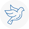 Bird Prevention Preesall
