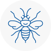 Preesall Hornet Nest Removals