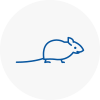 Mice Exterminators In Preesall