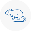 Rat Control Preesall