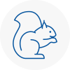 Preesall Rodent Removals
