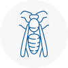 Preesall Wasp Nest Removal